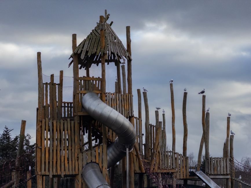 Medinė žaidimų aikštelės konstrukcija su paukščių skulptūromis planuojant vaikų erdves lauke